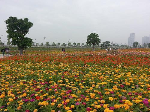 山水居，独魉岛