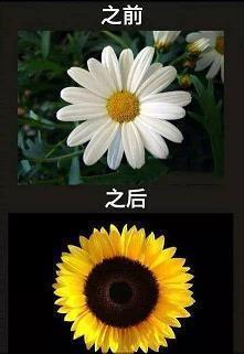 地球的自述