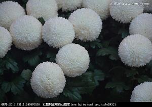 妈我不想陪你慢慢变老