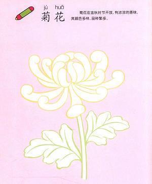 北京六天采访的感想