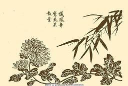 暮秋的生命