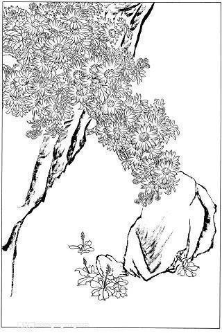 直面生活