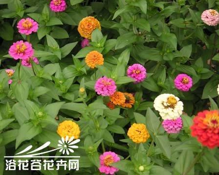 一份珍贵的礼物