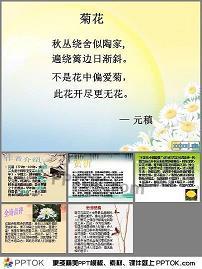 搁浅第十六缕晨光