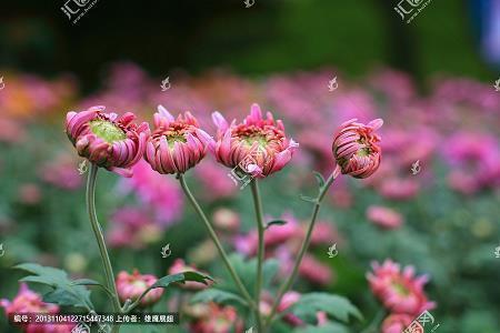 在我成长的路上