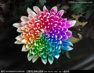 世界需要爱