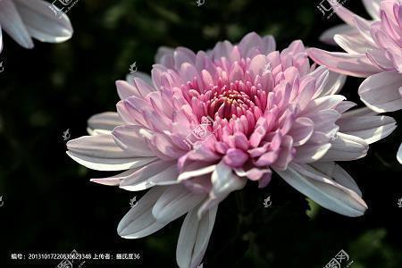 告别老同学