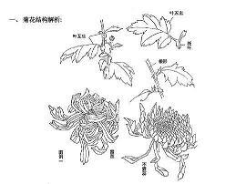 从前的我是一滴墨