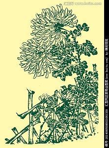 灯的变奏曲