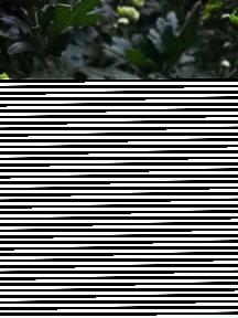 像英雄一样去战斗