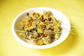 清风吹歌且生活_高三作文_刘迎芳完美作文
