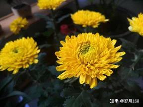 回顾过往说再见