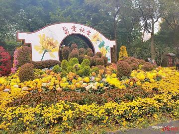 即逝的流沙