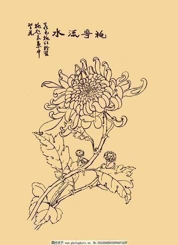 关于崇拜
