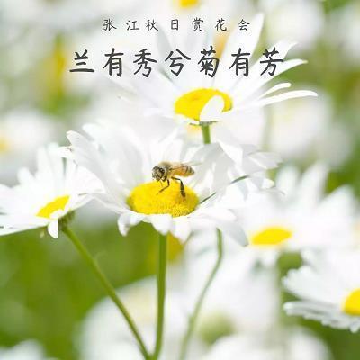 别人眼中的我