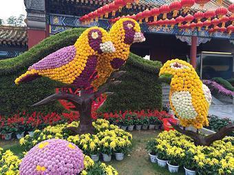 在花开花落中成长