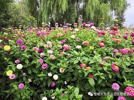 一步等于一个成功