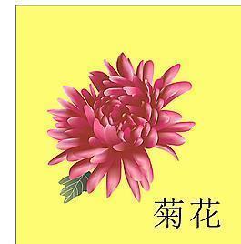 为你点赞