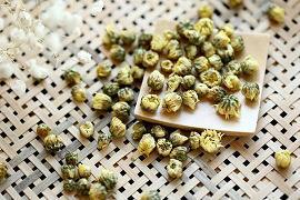 又到菊花飘香时