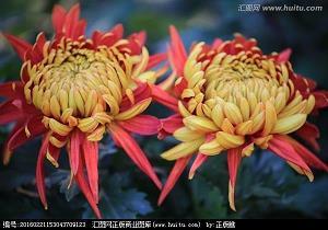 幻想之混沌纪