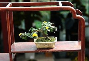 军训感悟