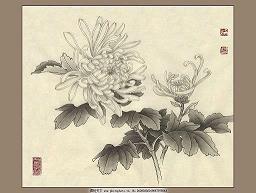 享受阳光