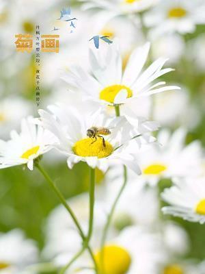 在“非典”的日子里