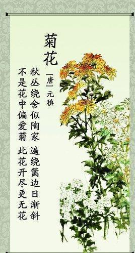 2020见证人心丰盈
