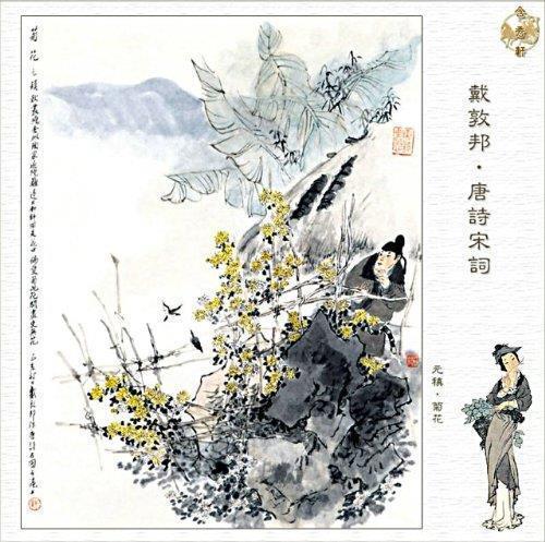 七年级我学会了宽容