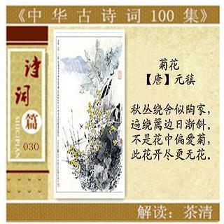 感恩的春天