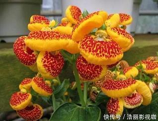 告别寂寞