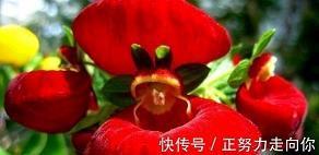 妈妈是孩子