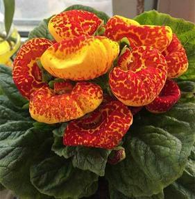 夏天到了