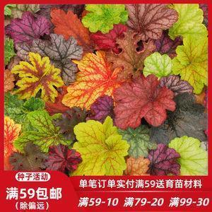 小升初择校之我见
