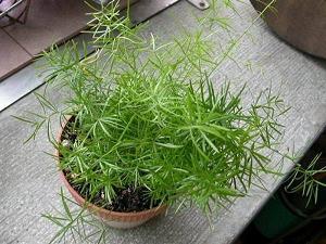 走过一日沽河