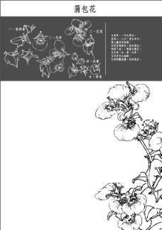 关于父爱的作文