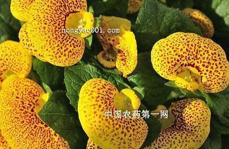 不知道为什么的为什么