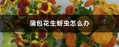 有感三诉