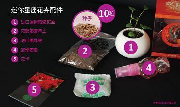 亲子活动