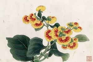写小动物的初中作文6篇