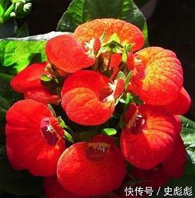 别了，我的小学生涯