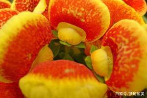 丧钟为谁而鸣