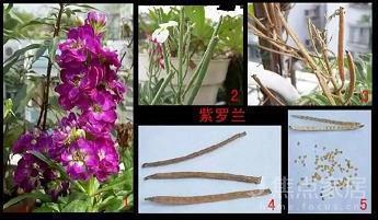 “过了今天”