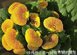 小失望