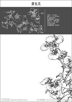 关爱生命，远离毒品