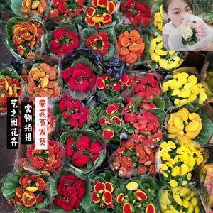 与你的春夏秋冬
