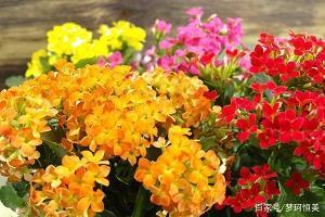 偶尔停下来
