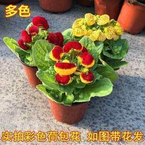 友情