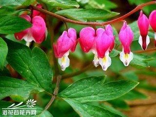 不用上学的感觉真好