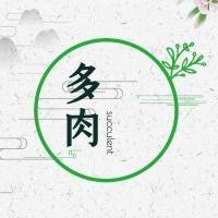 边城小镇的姑娘